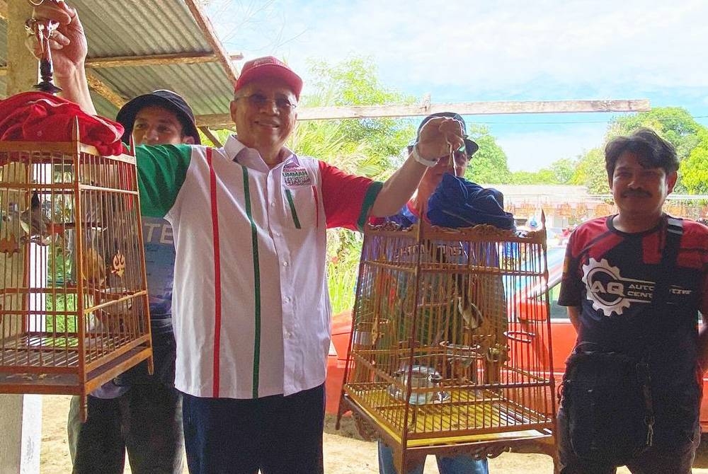 MN president Tan Sri Annuar Musa showing several 'Candik' birds that competed in Kok Lanas, Kota Bharu on Saturday.