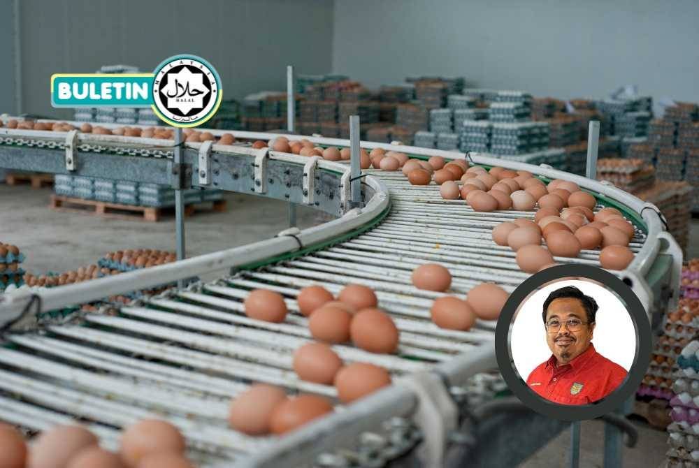 PENSIJILAN halal bukan sekadar memenuhi tuntutan agama atau label semata-mata, tetapi ia turut mencerminkan aspek ketelusan, kebersihan dan integriti dalam pengurusan sesuatu produk atau perkhidmatan. -Foto: CANVA/ Gambar kecil: AHMAD SYAKIR SAZILI